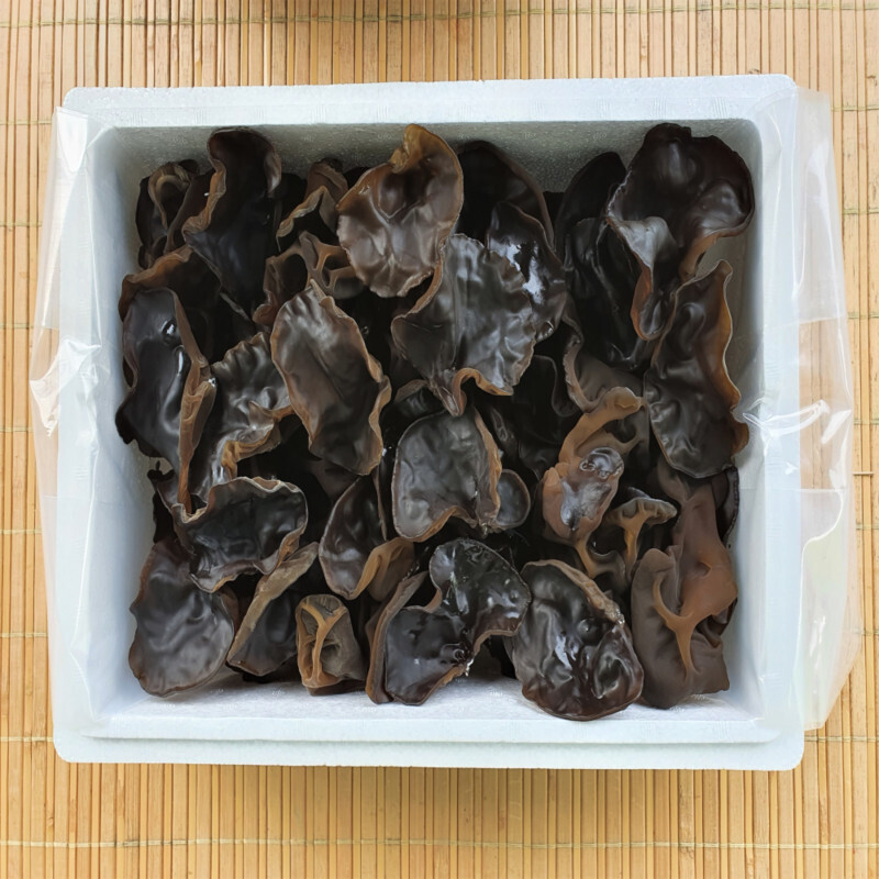 설악산목이버섯,설악산초록농장 생목이버섯(1kg)